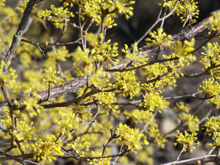 ����ũ��� ����