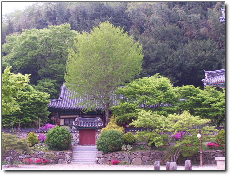 ����ũ��� ����