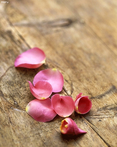 ����ũ��� ����