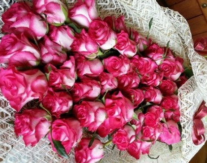 ����ũ��� ����