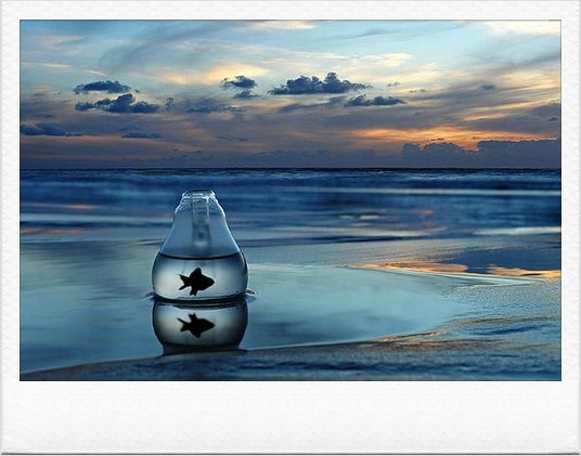 ����ũ��� ����