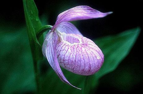 ����ũ��� ����