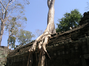 ����ũ��� ����