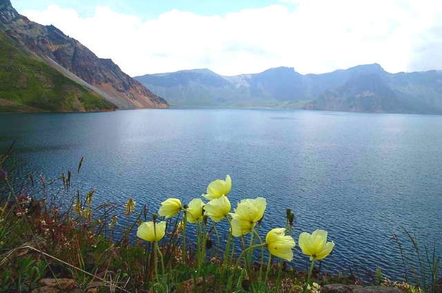 ����ũ��� ����