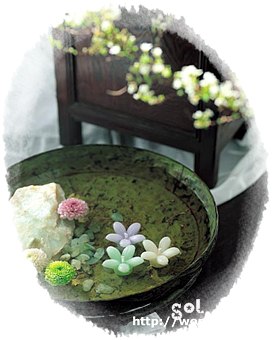 ����ũ��� ����