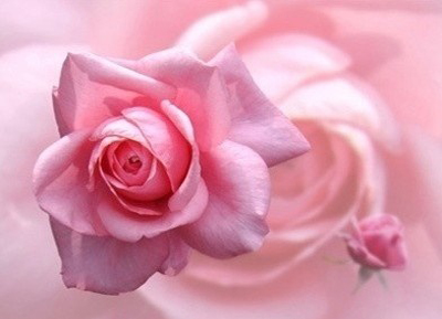 ����ũ��� ����