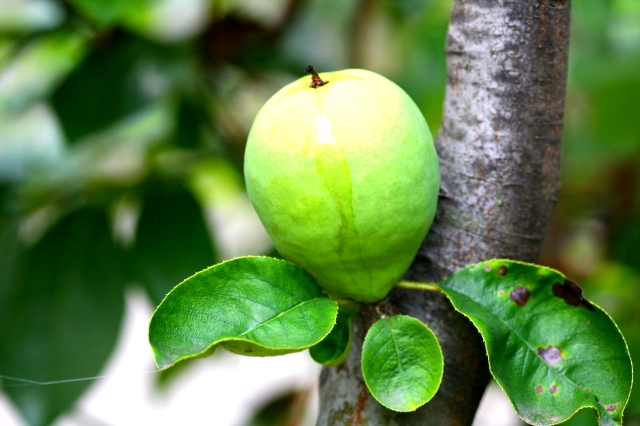 ����ũ��� ����