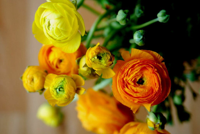 ����ũ��� ����