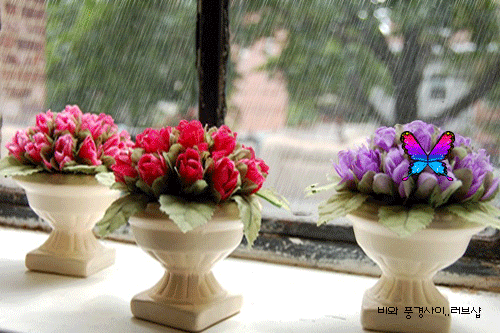 ����ũ��� ����