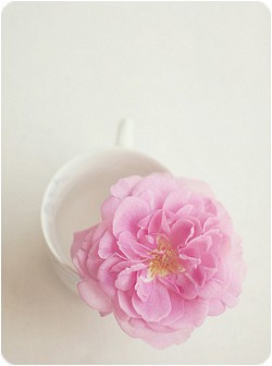 ����ũ��� ����