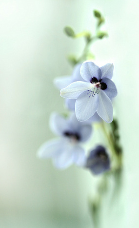 ����ũ��� ����