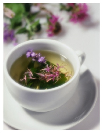 ����ũ��� ����