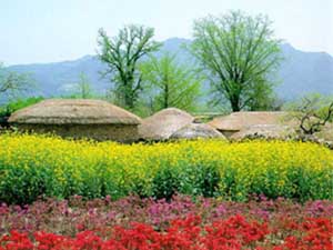 ����ũ��� ����