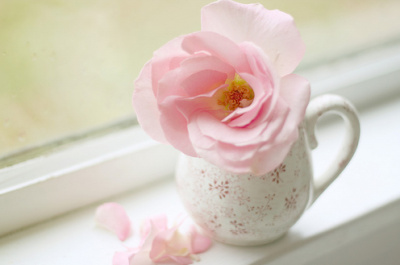 ����ũ��� ����