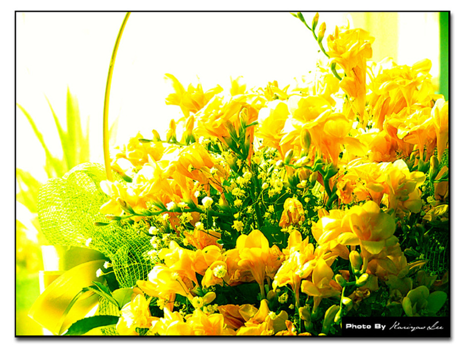 ����ũ��� ����