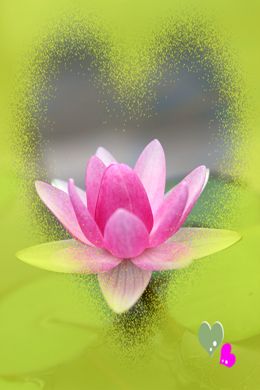 ����ũ��� ����