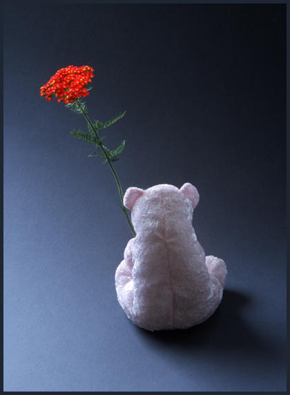 ����ũ��� ����