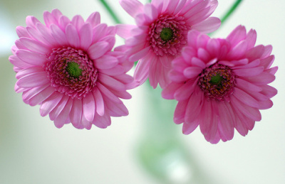 ����ũ��� ����