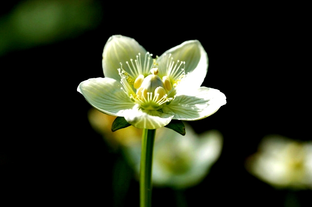 ����ũ��� ����