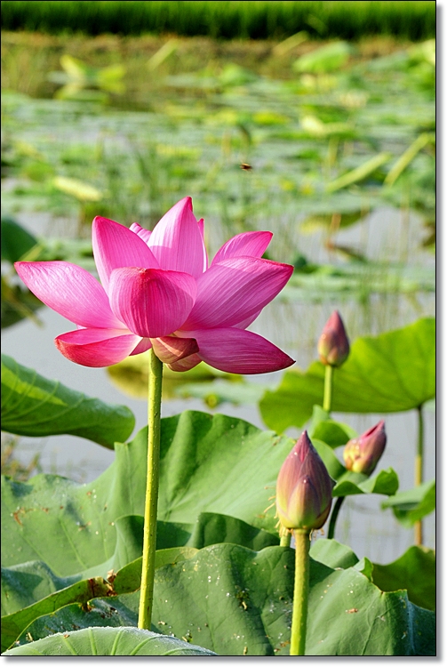 ����ũ��� ����