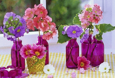 ����ũ��� ����