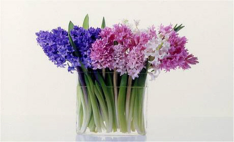 ����ũ��� ����