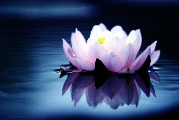 ����ũ��� ����