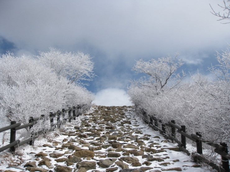 ����ũ��� ����