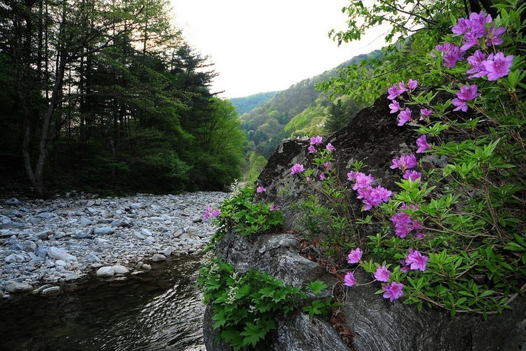 ����ũ��� ����