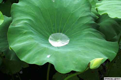 ����ũ��� ����