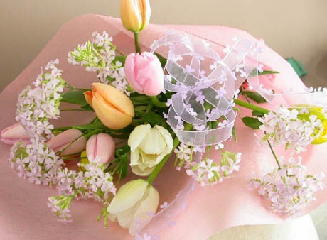 ����ũ��� ����