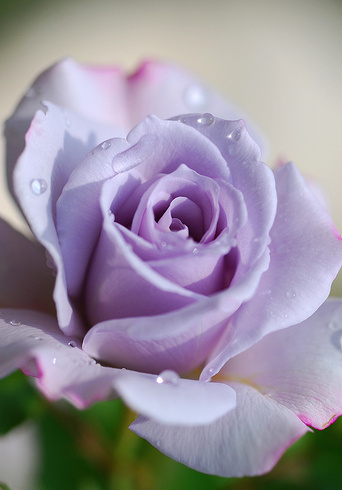 ����ũ��� ����