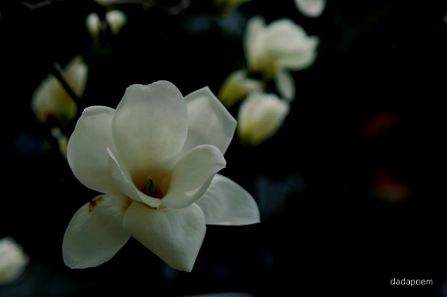 ����ũ��� ����