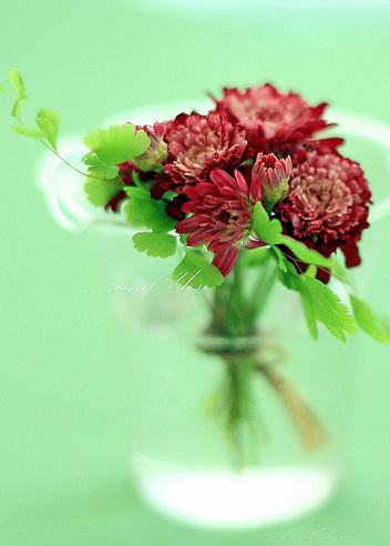 ����ũ��� ����