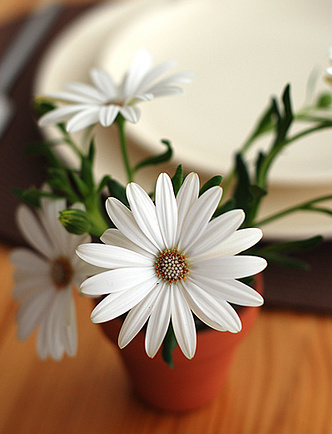 ����ũ��� ����