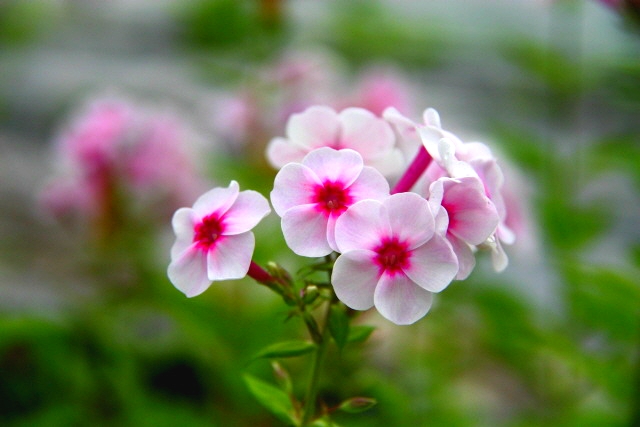 ����ũ��� ����