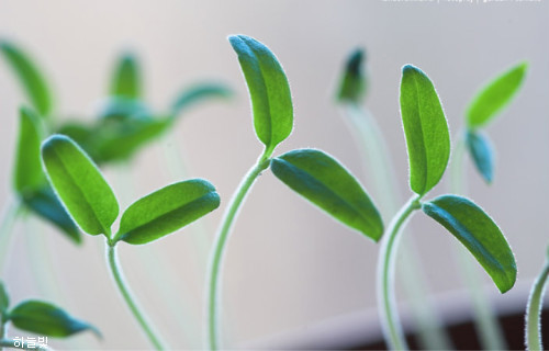 ����ũ��� ����