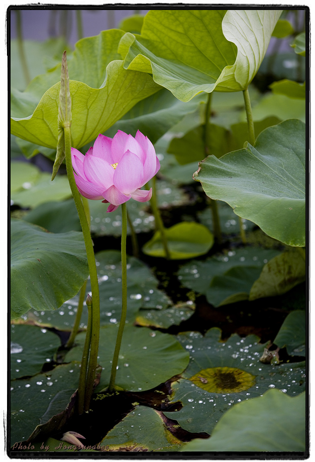 ����ũ��� ����