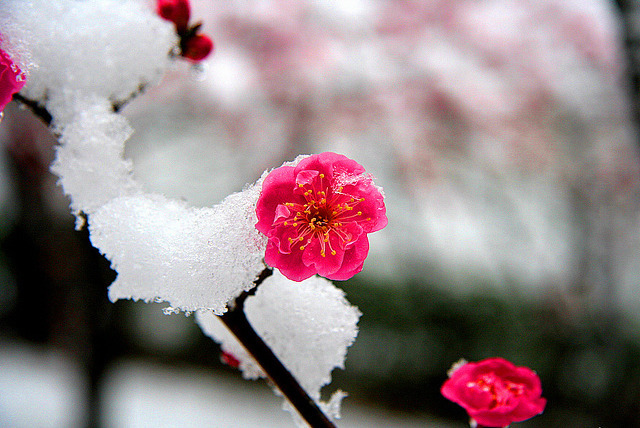 ����ũ��� ����