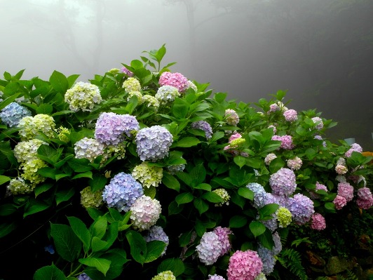 ����ũ��� ����