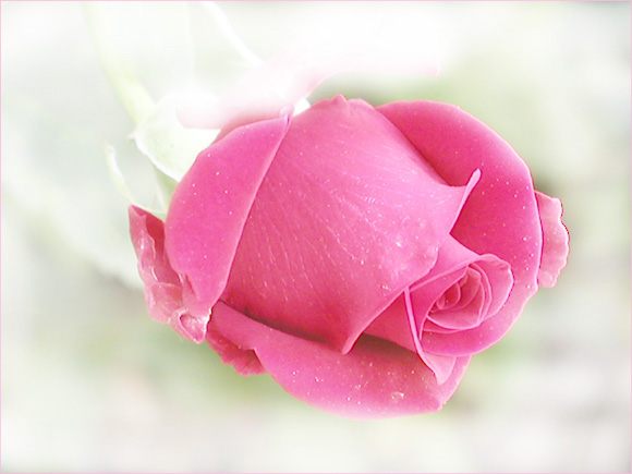 ����ũ��� ����