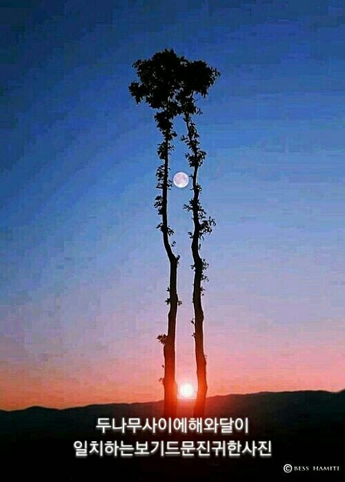 ����ũ��� ����