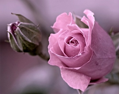 ����ũ��� ����