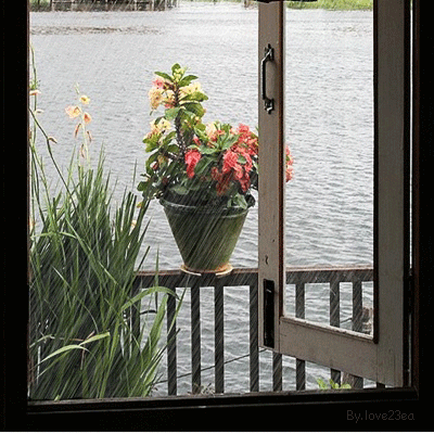 ����ũ��� ����