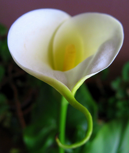 ����ũ��� ����