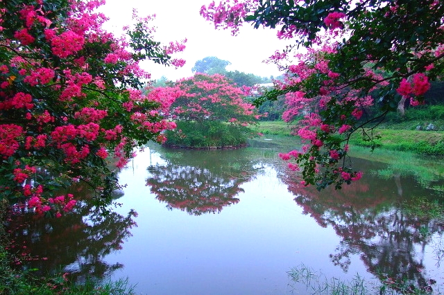 ����ũ��� ����