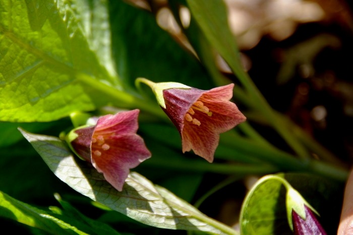 ����ũ��� ����