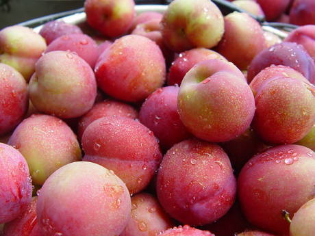 ����ũ��� ����