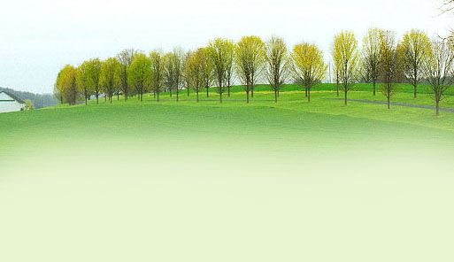 ����ũ��� ����