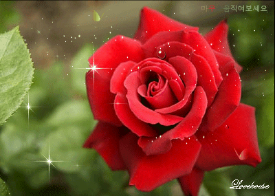 ����ũ��� ����